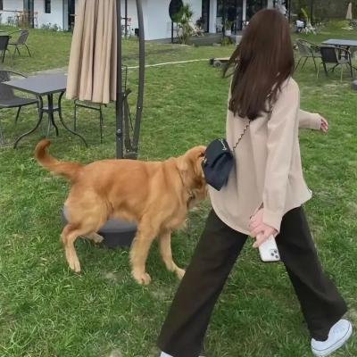 黑色直播