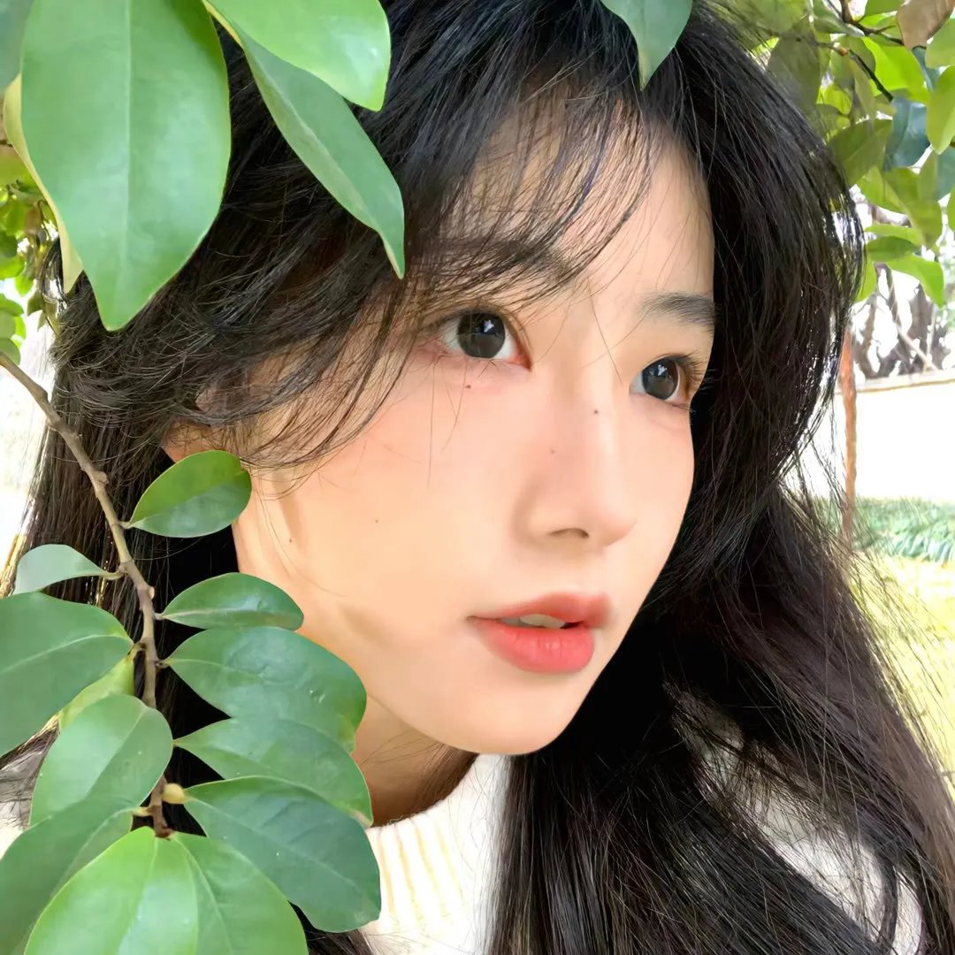 玛歌皇后